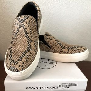 Steve Madden Gills Slip-On Sneakers